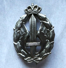 Carica l'immagine nel visualizzatore di Gallery, WW2 Riproduzione Distintivo Regia Aeronautica Italiana Azioni Guerra Assalto Combattimento