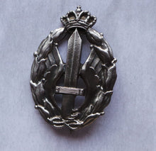 Carica l'immagine nel visualizzatore di Gallery, WW2 Riproduzione Distintivo Regia Aeronautica Italiana Azioni Guerra Assalto Combattimento