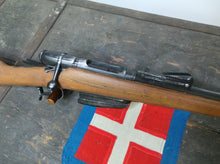 Carica l'immagine nel visualizzatore di Gallery, WW1- X - Simulacro in Resina Fucile Vetterli - Vitali 1870/87