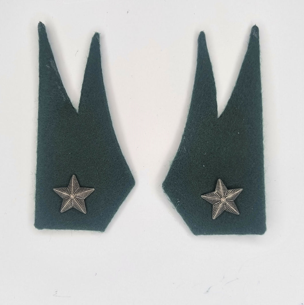 WW2 Riproduzione Mostrine Corpo degli Alpini Regio Esercito Italiano