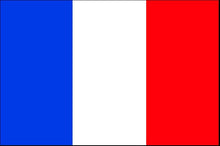 Carica l&#39;immagine nel visualizzatore di Gallery, Bandiera Francia - Repubblica Francese 100/150
